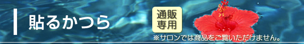 貼るかつら　（通販専用のため、サロンでは商品をご覧いただけません）