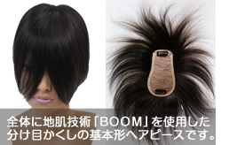 ヘアピース100B