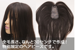 ヘアピース100R-MONO