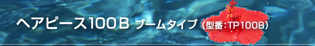 ヘアピース100Bブームタイプ